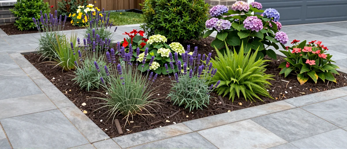 Frisch bepflanztes Gartenbeet neben einer Terrasse mit Lavendel, Hortensien, Straeuchern und Ziergraesern