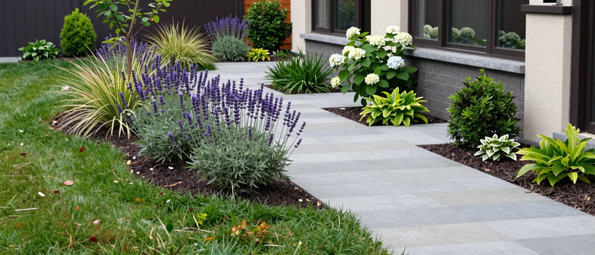 Frisch bepflanztes Gartenbeet neben einer Terrasse mit Lavendel, Hortensien, Straeuchern und Ziergraesern